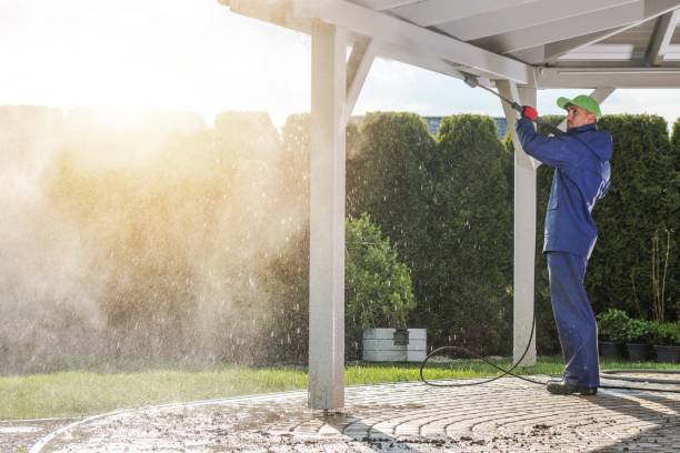 Best Roof Washing  in Milford, IA