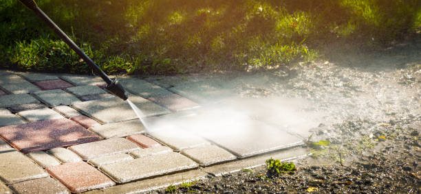 Best Gutter Cleaning  in Milford, IA